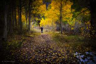 Jim on the Path-9241